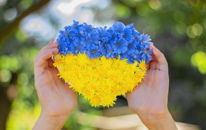 Veelgestelde vragen over Oekraïne - Vluchtelingenwerk Vlaanderen